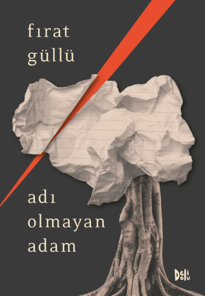 Cover of Gullu's book